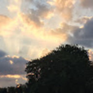 Meet your Posher, Narrow